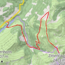 thumbnail for Grünes Gräshorn