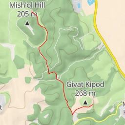 thumbnail for 6953 - מועצה אזורית מגידו