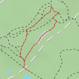 thumbnail for Alice Holt Arboretum - Adaption Trail - East Hampshire