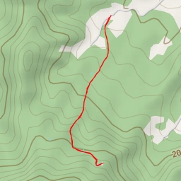 thumbnail for Grande Árvore - Joinville