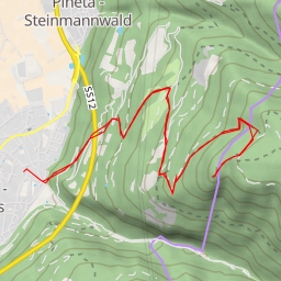 thumbnail for Enzbirch