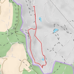 thumbnail for Ellergronn