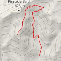 thumbnail for The Pinnacle