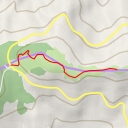 thumbnail for Jane Bald