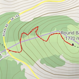 thumbnail for Round Bald