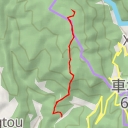 thumbnail for 柳杉林