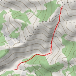 thumbnail for Lizza Bagnoli - Lizza Bagnoli - Massa