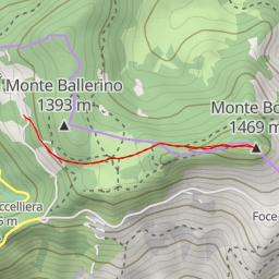 thumbnail for Monte Borla