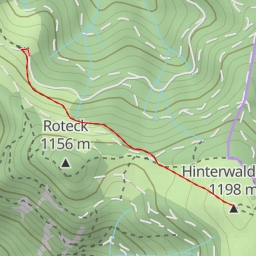 thumbnail for Hinterwaldkopf