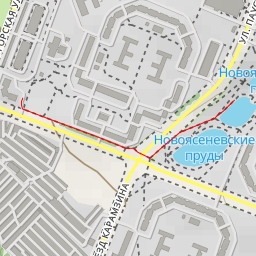 thumbnail for Новоясеневские пруды