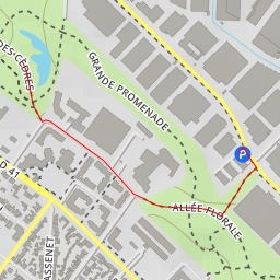 thumbnail for Allée des Cèdres