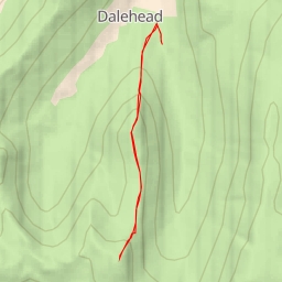 thumbnail for Rest Dodd