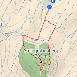 thumbnail for Steingrubenberg