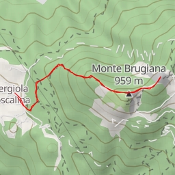 thumbnail for Ferratina Brugiana - Ferratina Brugiana - Massa