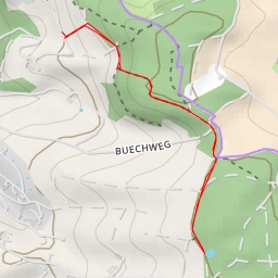 thumbnail for Eichhofstrasse