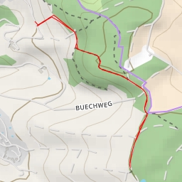 thumbnail for Birch - Hölstein