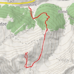 thumbnail for Testa Cordellaz