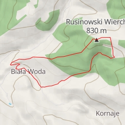 thumbnail for Rusinowski Wierch