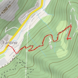 thumbnail for Albero secolare