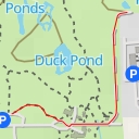 thumbnail for Mary's Pond