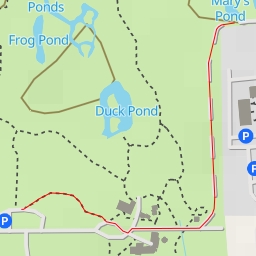 thumbnail for Mary's Pond