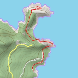 thumbnail for Cap Carbon