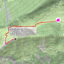 thumbnail for Feldberg