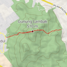 thumbnail for Lambak big tree trail head