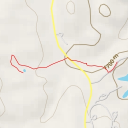 thumbnail for Buck Tank