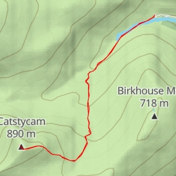 thumbnail for Catstycam