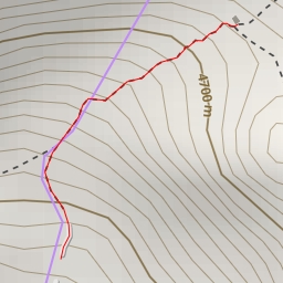 thumbnail for Refugio Fausto González Gomar