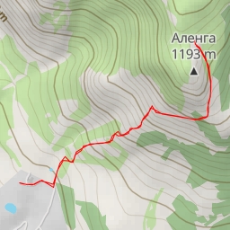 thumbnail for Сиамские близнецы