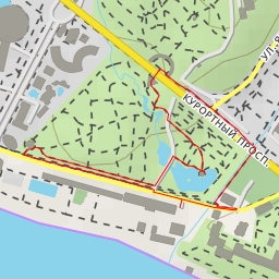 thumbnail for Плоскоцветочник восточный "можжевельниковый" - Черноморская улица - Сочи