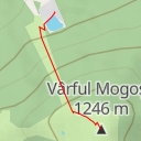 thumbnail for Mogoșa