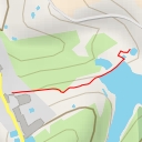 thumbnail for helechos - Camino a Moya