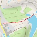 thumbnail for helechos - Camino a Moya