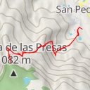 thumbnail for Buena vista