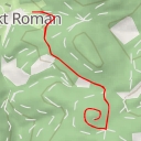 thumbnail for Sannekopf