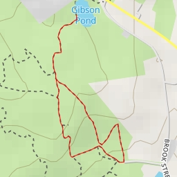 thumbnail for Gibson Pond