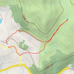 thumbnail for Ashley Green - A593