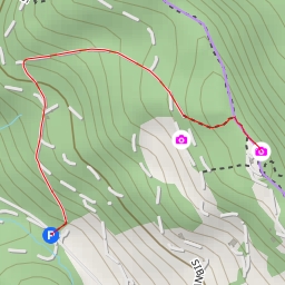 thumbnail for Albishorn