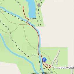 thumbnail for Nature Trail - Nature Trail