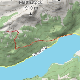 thumbnail for Geisschopf