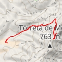 thumbnail for Palleret del Teix