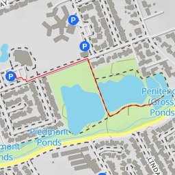 thumbnail for Penitencia (Gross) Ponds