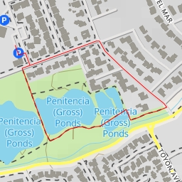 thumbnail for Penitencia (Gross) Ponds