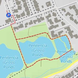 thumbnail for Penitencia (Gross) Ponds