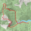 thumbnail for Freixe de la Freixeneda - Carretera de Vidrà a Sant Privat d'en Bas