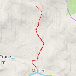 thumbnail for Allrey