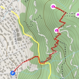 thumbnail for Rabenflue